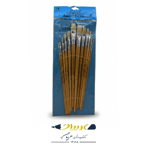 قلم مو زبر 12 عددی ماریس