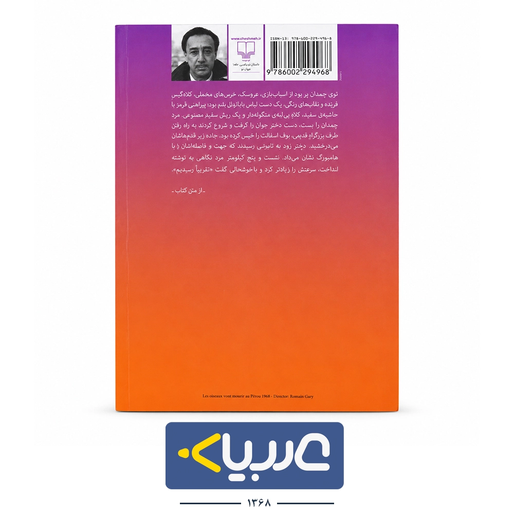 کتاب پرندگان میروند در پرو بمیرند نشر چشمه نوشته رومن گاری - تصویر 2